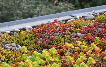 the cost of Millwall green roof installation