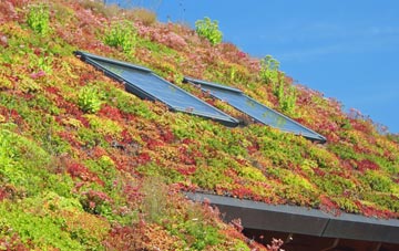 Millwall living roof systems